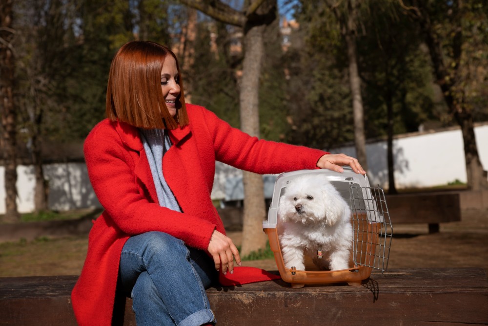 Planning Your Pet-Friendly Relocation