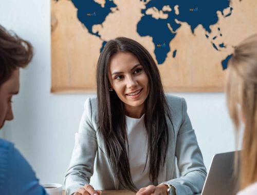 Immigration Consultant